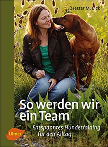 Buch - So werden wir ein Team